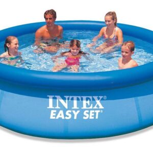 Intex Easy Set Pool  10' x 30"
